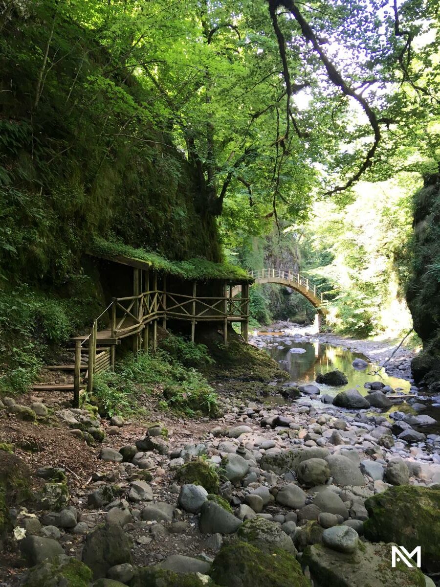 Cantal : Gorges de la Jordanne