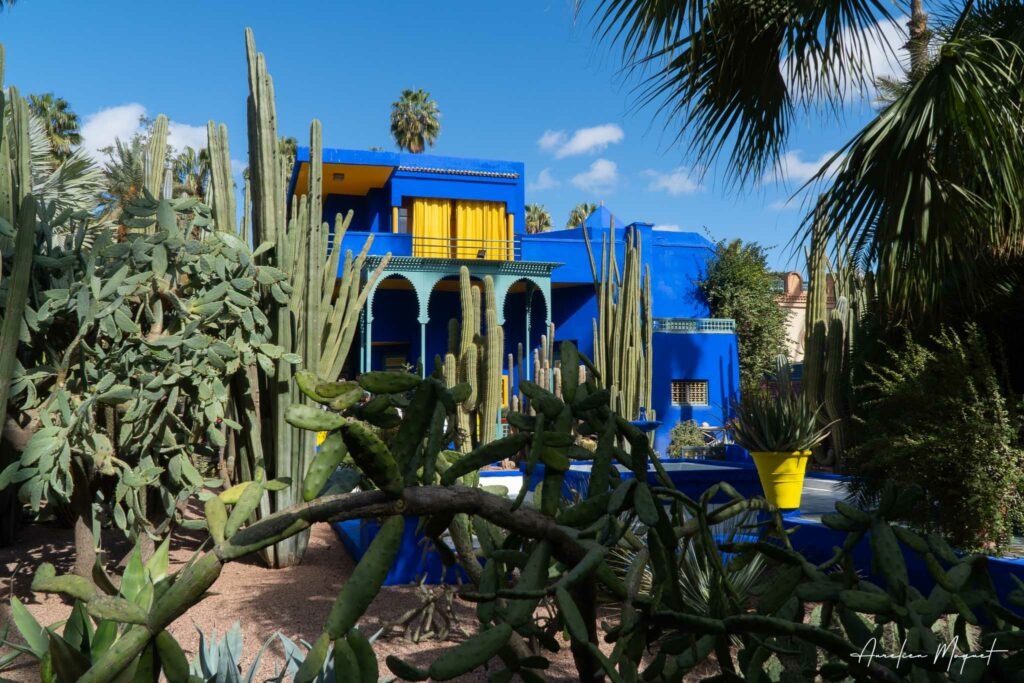 Le Jardin Majorelle