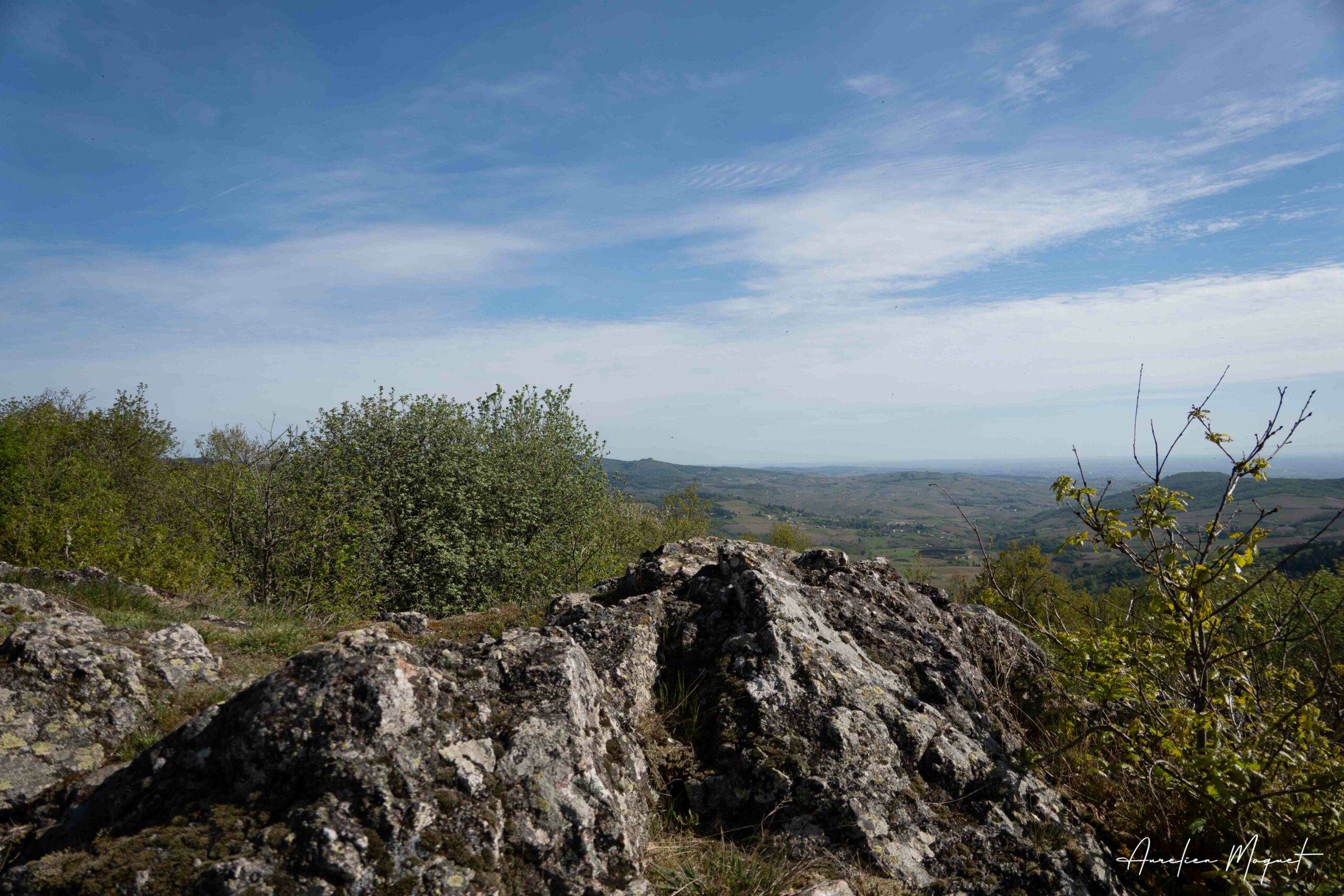 Entre Vignes et Sommets : Une Parenthèse Enchantée à Chiroubles